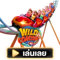wild coaster
